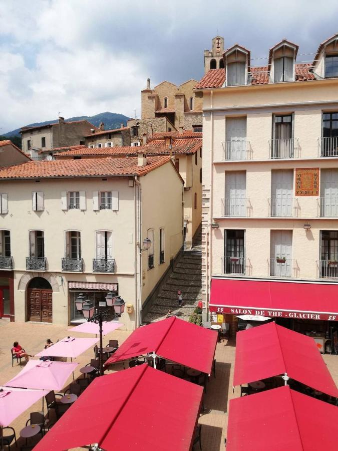 Studio Tout Confort Dans Le Centre Historique Appartement Prats-de-Mollo-la-Preste Buitenkant foto